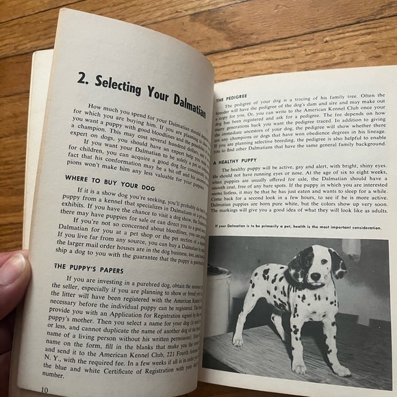 How To Raise And Train Dalmatian Dog Vintage Mid Century Book Dog Lovers Rare - Picture 6 of 10